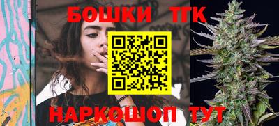 индика Усть-Илимск