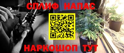 индика Усть-Илимск