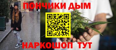 индика Усть-Илимск