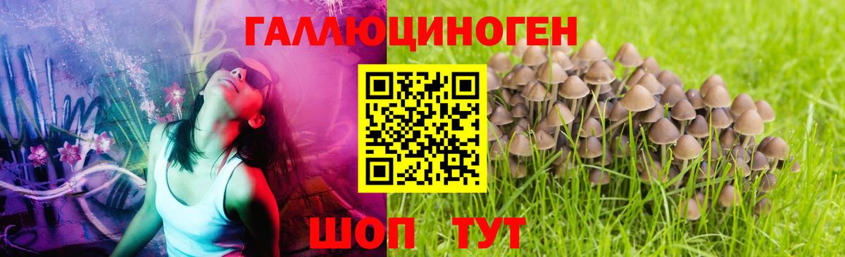 Галлюциногенные грибы мухоморы  Вход с VPN  Псилоцибиновые грибы Psilocybe  Белебей 
