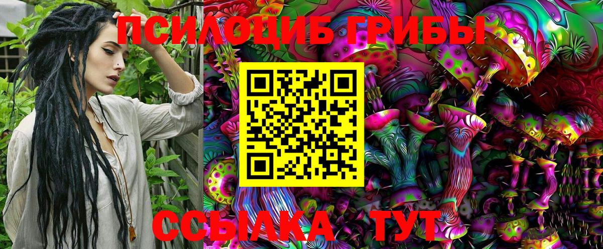Галлюциногенные грибы Psilocybine cubensis Белебей